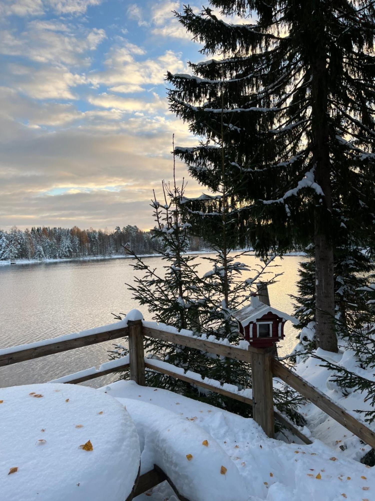 Nya Skogsgarden Hostel Mårbacken Exteriér fotografie