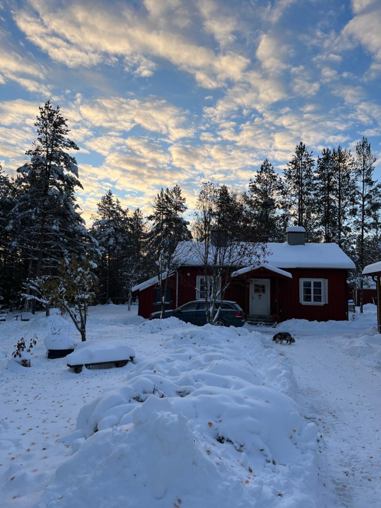 Nya Skogsgarden Hostel Mårbacken Exteriér fotografie