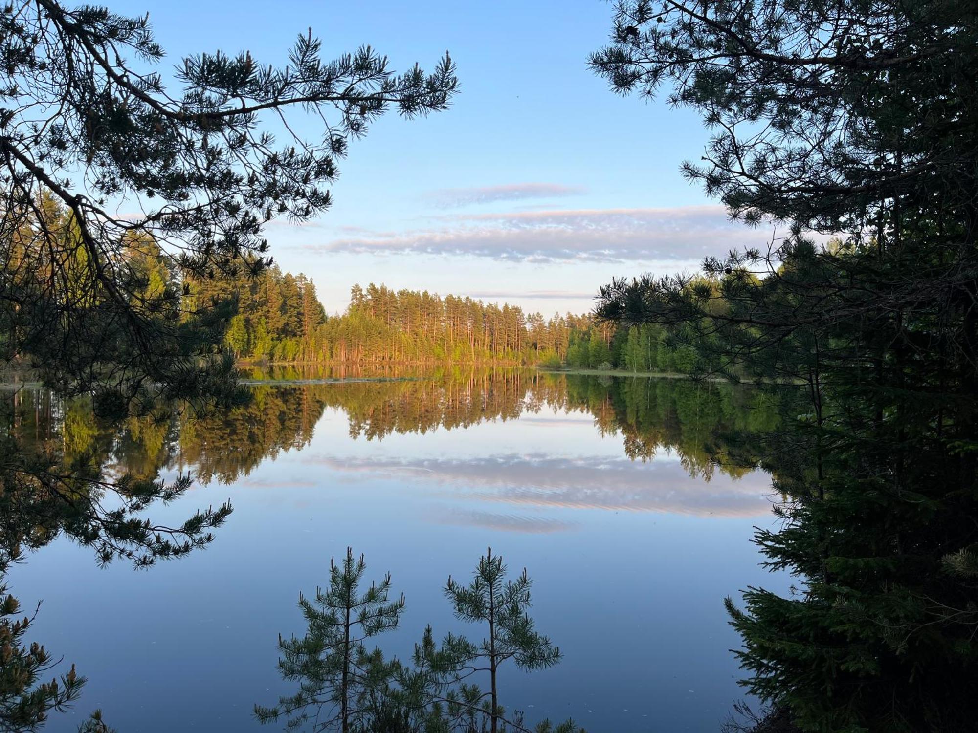 Nya Skogsgarden Hostel Mårbacken Exteriér fotografie