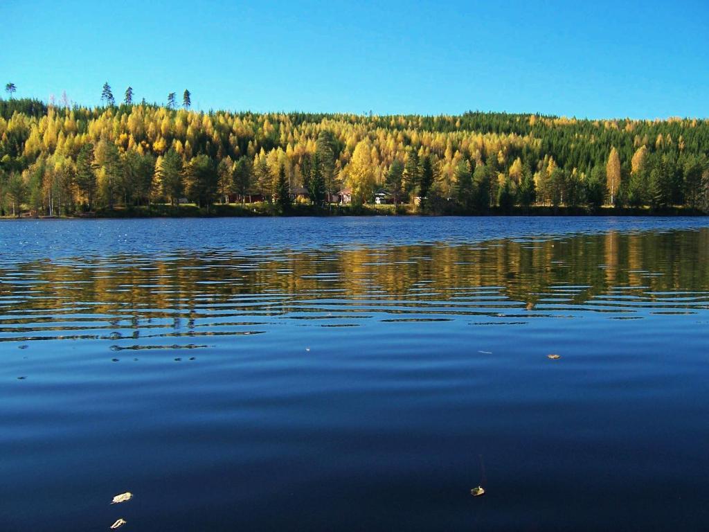 Nya Skogsgarden Hostel Mårbacken Exteriér fotografie