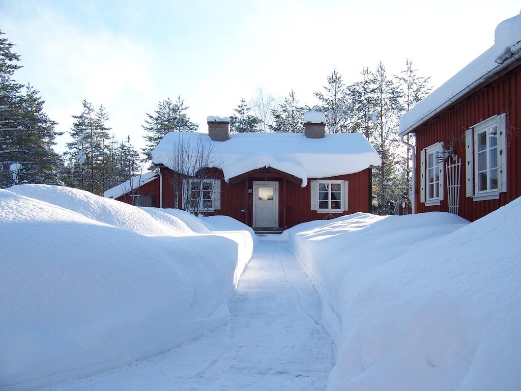 Nya Skogsgarden Hostel Mårbacken Exteriér fotografie